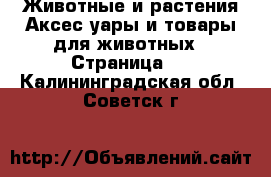 Животные и растения Аксесcуары и товары для животных - Страница 2 . Калининградская обл.,Советск г.